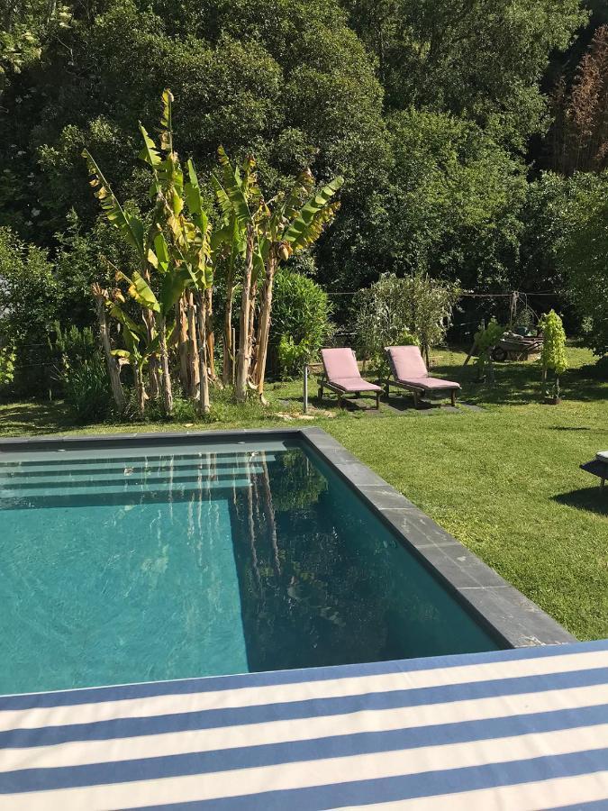 Le Pain De Lune Gite Et Chambre D'Hotes Avec Piscine Bourg-sur-Gironde Exterior foto